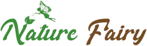 Nature Fairy Store